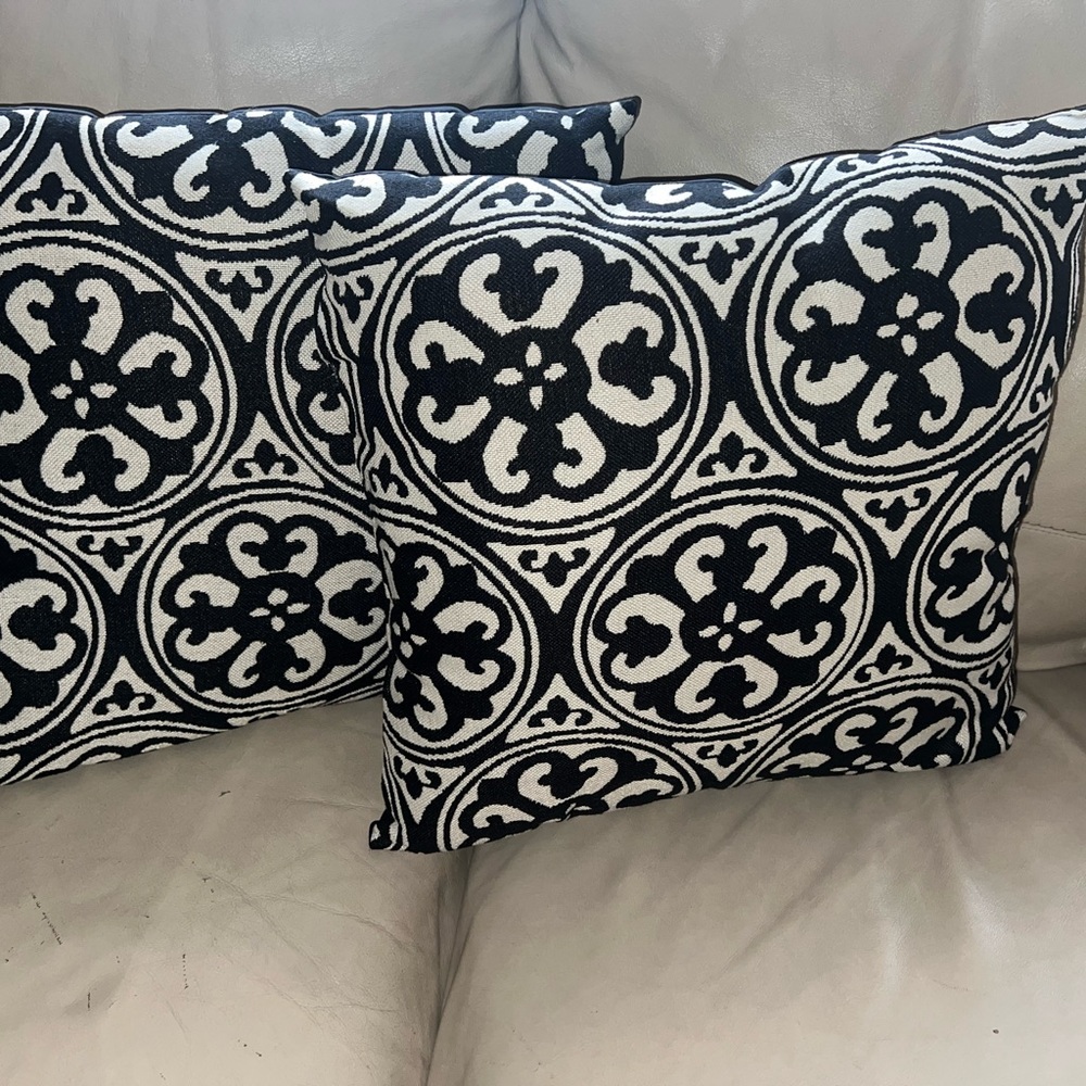 Black & White Decorative Throw Pillow pair- Stylish Home Accent